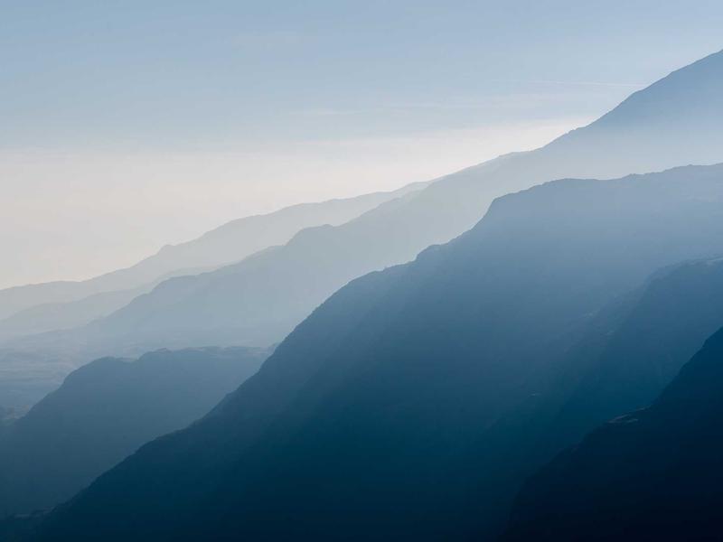 杏林密档<br>医疗资讯与学术交流专号
